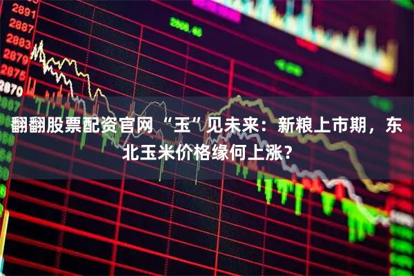 翻翻股票配资官网 “玉”见未来：新粮上市期，东北玉米价格缘何上涨？